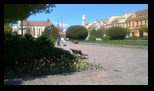 Presov -19-04-2025 - Bogdan Balaban